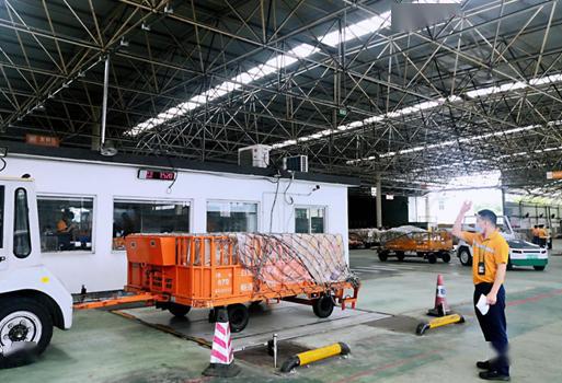 白云机场国内货站开通绿色通道，助力鲜活鱼虾苗运输高效无忧